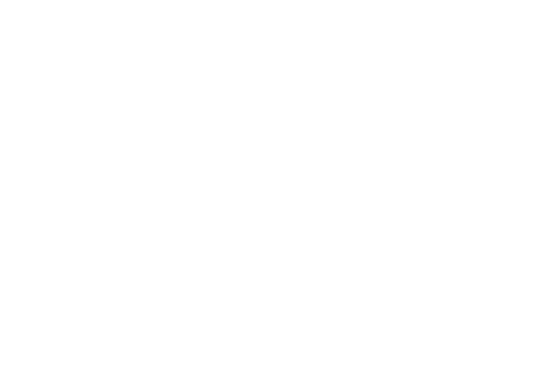 SFB +Dealer Boat Kings